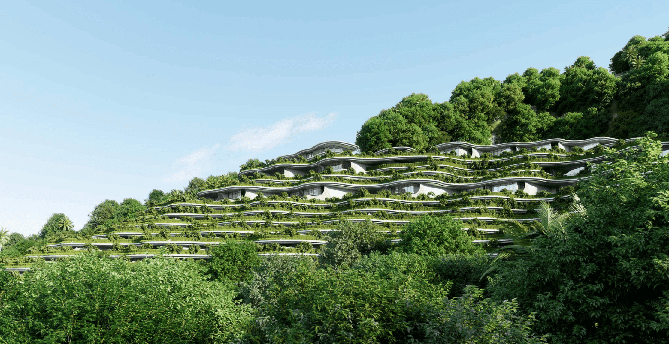 Understanding ECCs: Environmental Safeguards for PH Projects