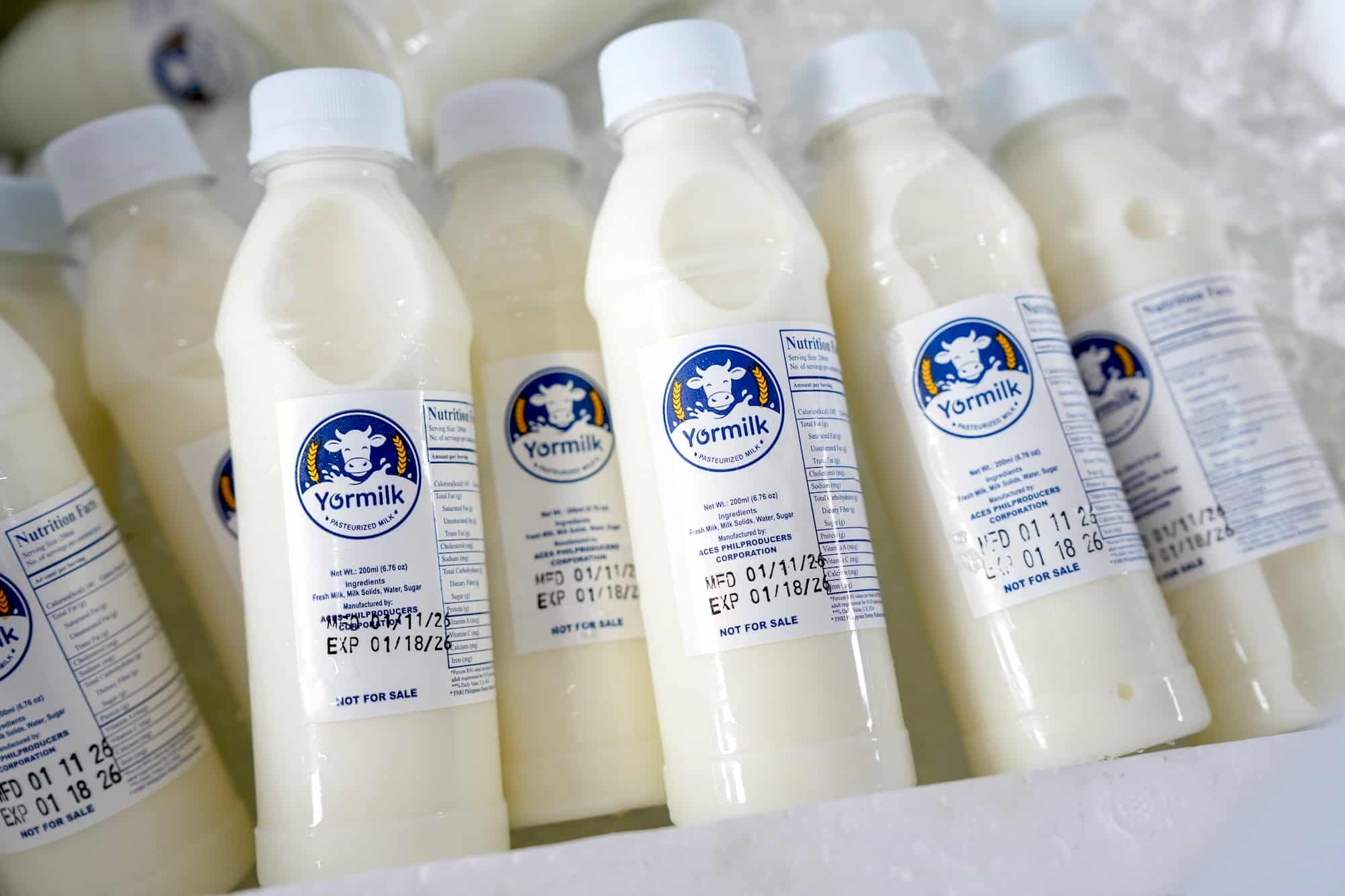 Manila's Yormilk Program: Tackling Child Malnutrition